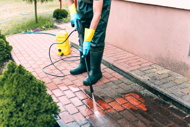 Best Roof Power Washing Services  in Palm Springs, FL