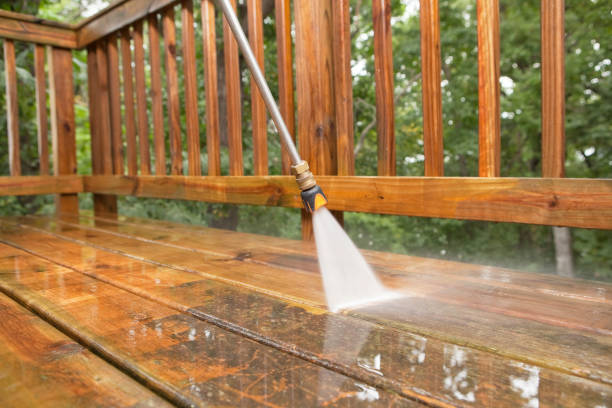 Best Residential Pressure Washing Services  in Palm Springs, FL